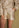 Short Elody - Fancy Jacquard | Cream