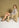 Short Adele - Tweed | Kaki