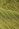 Top Celia | Green